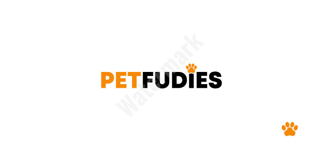 18-Logo-Site-PetFudies-18.jpg
