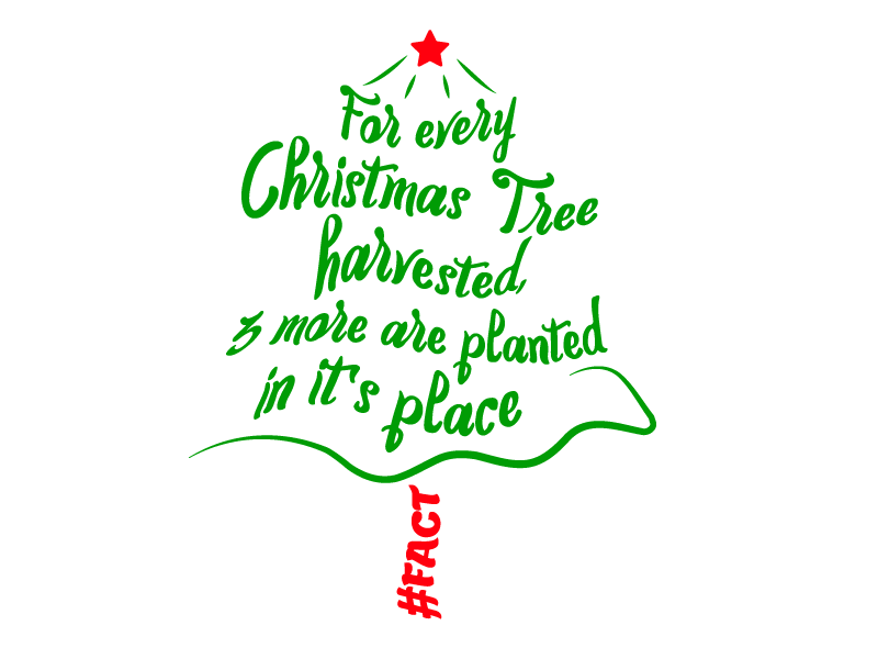 1christmas-card1.png