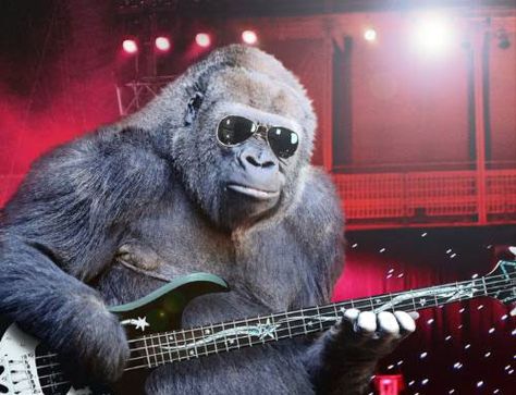 1d74e28708868f708b125243f53968c7--musical-instruments-funny-animal.jpg