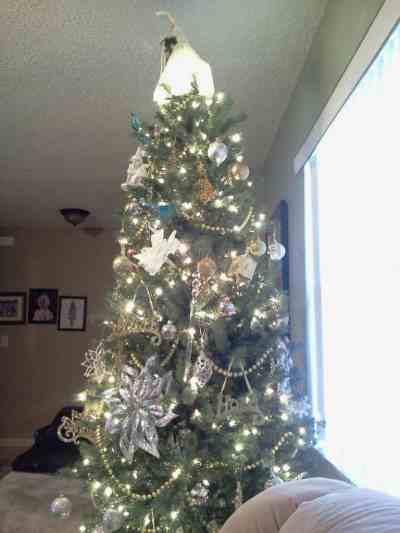 2014-12-18 08.34.35.jpg