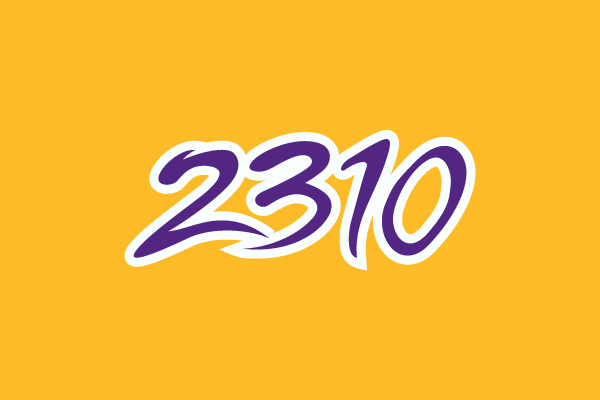 2310.png