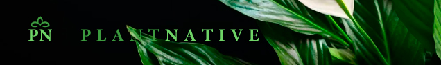 49-Logo-Re-design-PlantNative-4.jpg