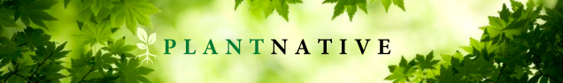 49-Logo-Re-design-PlantNative-8.jpg