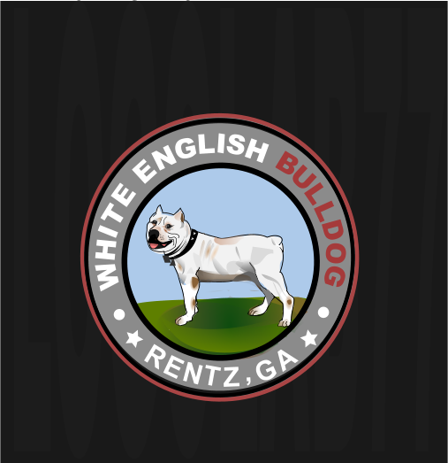 A1 (1).png