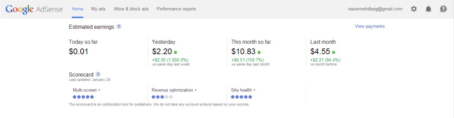 AdSense January Extension.jpg