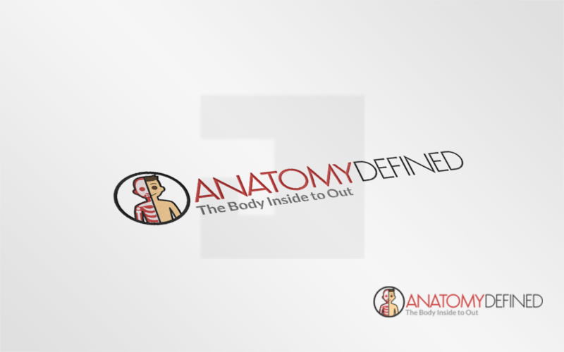 anatomydefined-dp.png