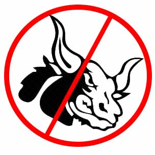 Angry Bull.jpg