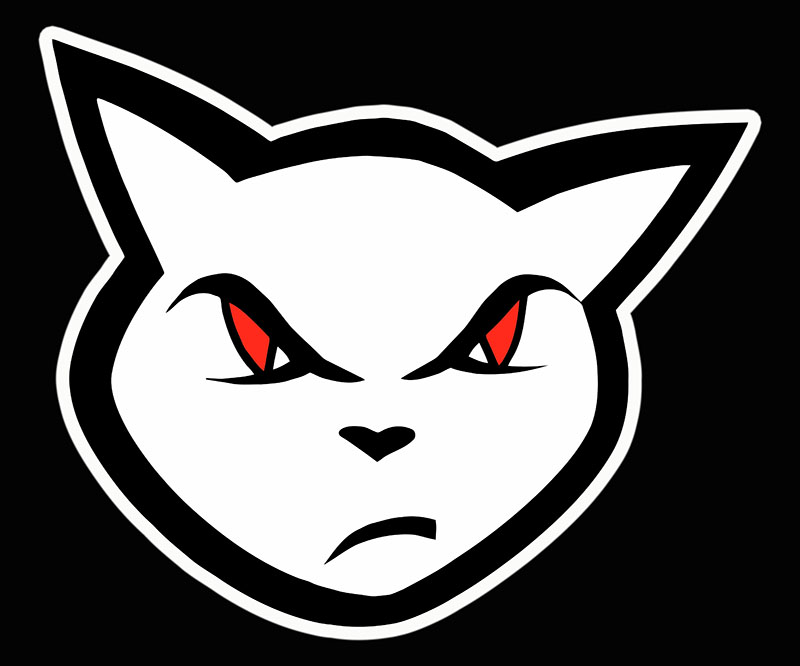 angry cat3.jpg