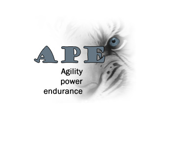 APE.jpg