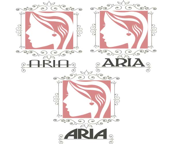 aria2.jpg