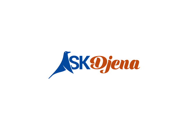 Ask Djena copy.png