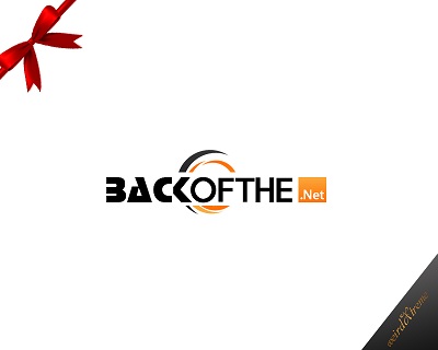 Back Of The Net 1.jpg