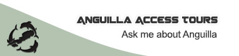 banner3.jpg