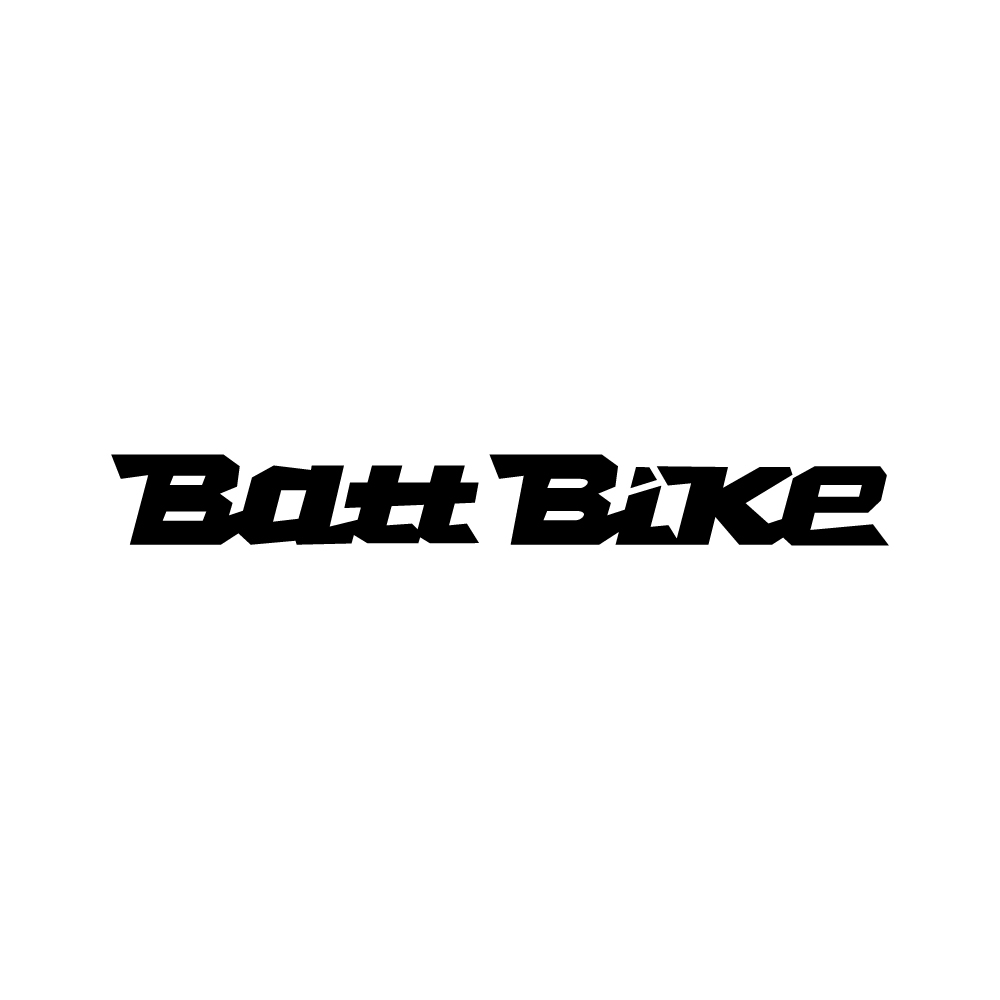 batt.jpg