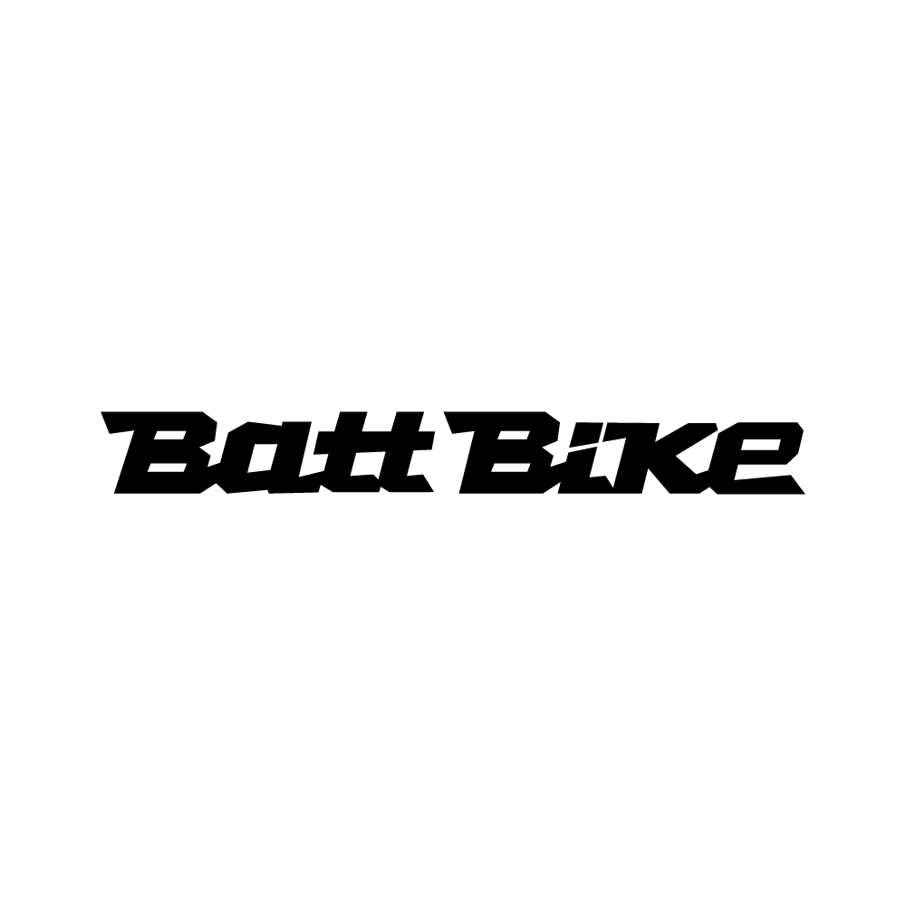 batt.jpg