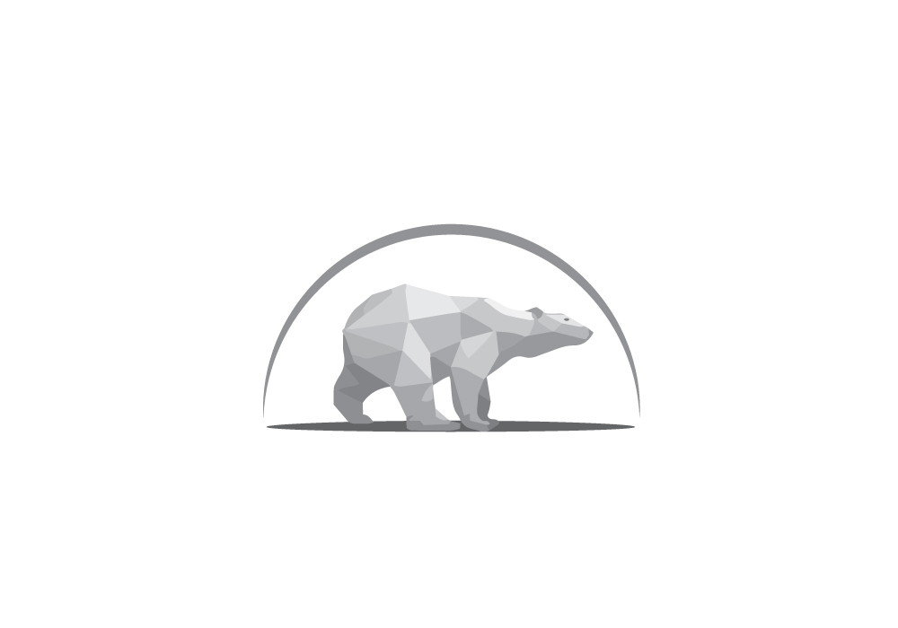 bear-1.jpg