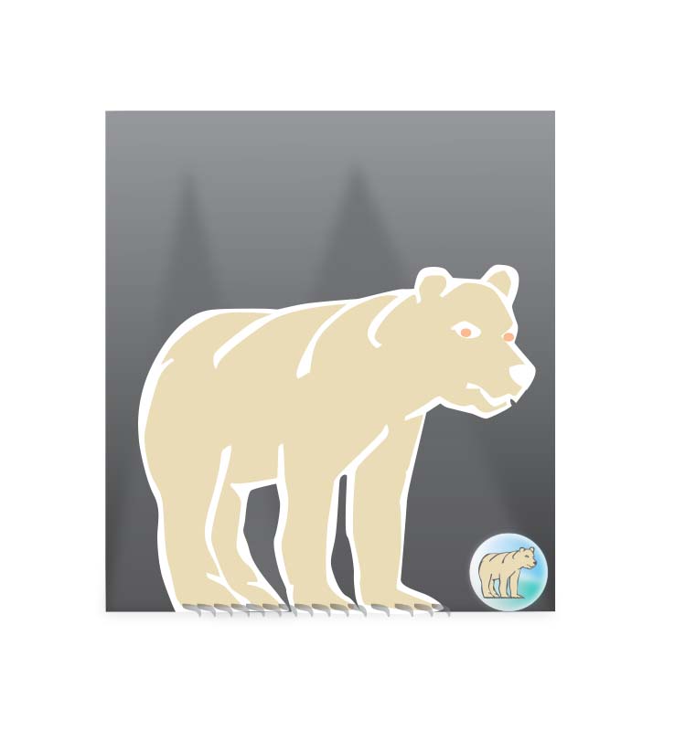 bear4.jpg