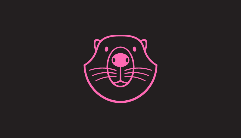 beaver_sample.png