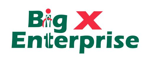 big x logo.JPG