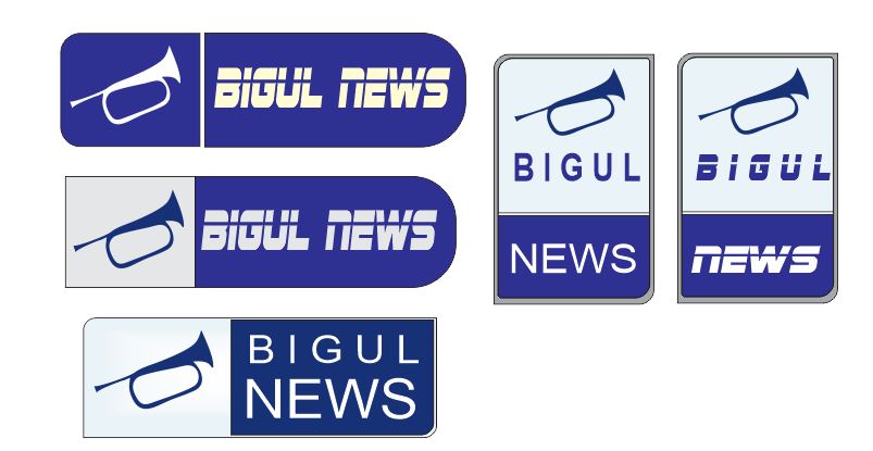 bigul news versions.JPG