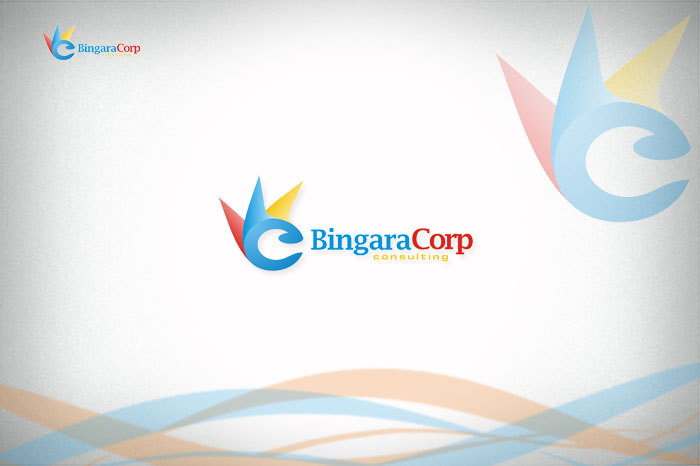 bingara corp.jpg