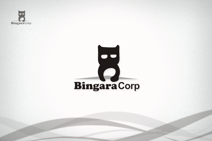 bingaracorp.jpg