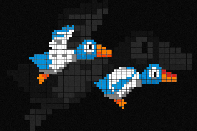 BIRD.jpg