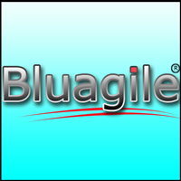 bluagile 1.jpg