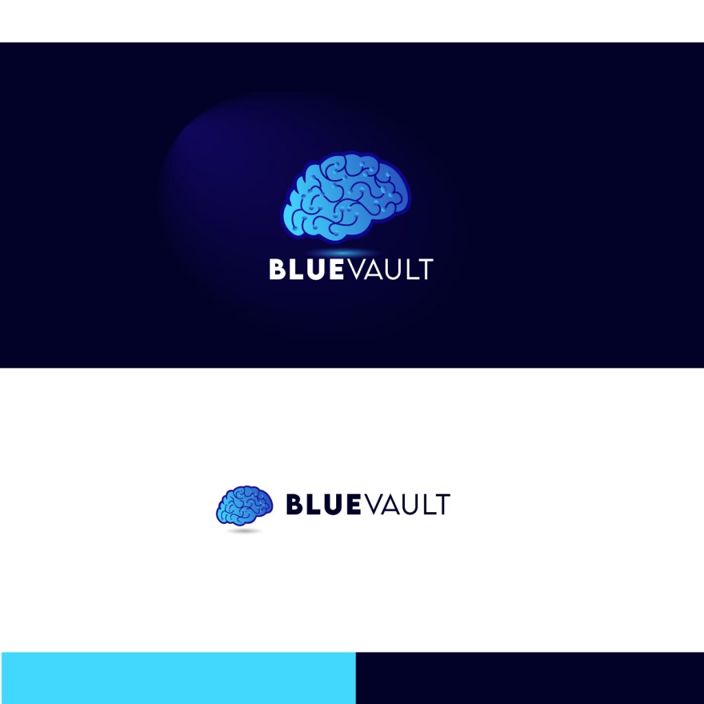 BlueVault_Logo.jpg