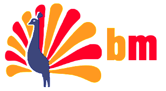 bm 2.PNG