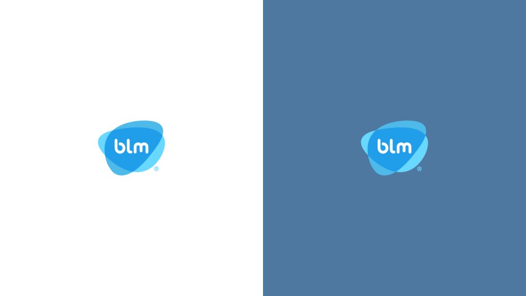 bml1234.jpg