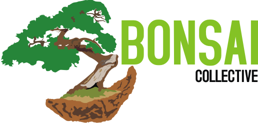 BONSAAI.png