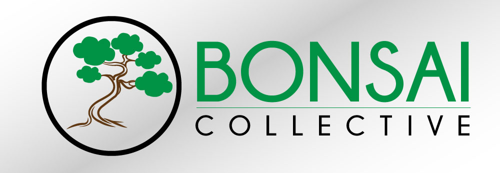 bonsai 3.jpg