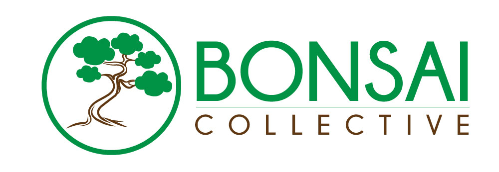 bonsai2.jpg