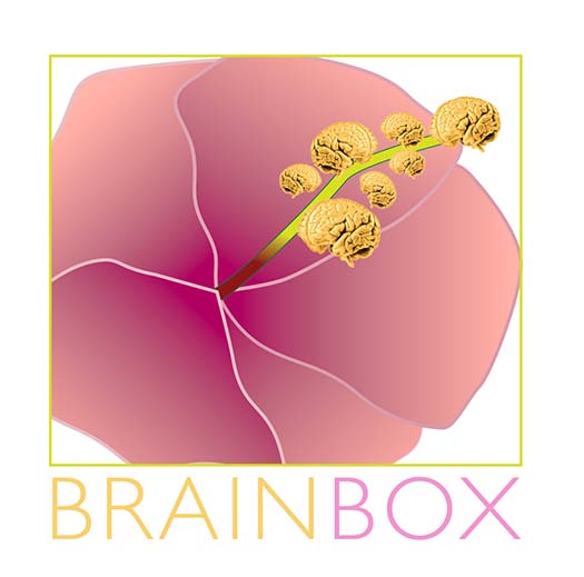 brain2.jpg