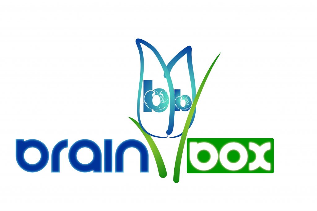 Brainbox copy.jpg