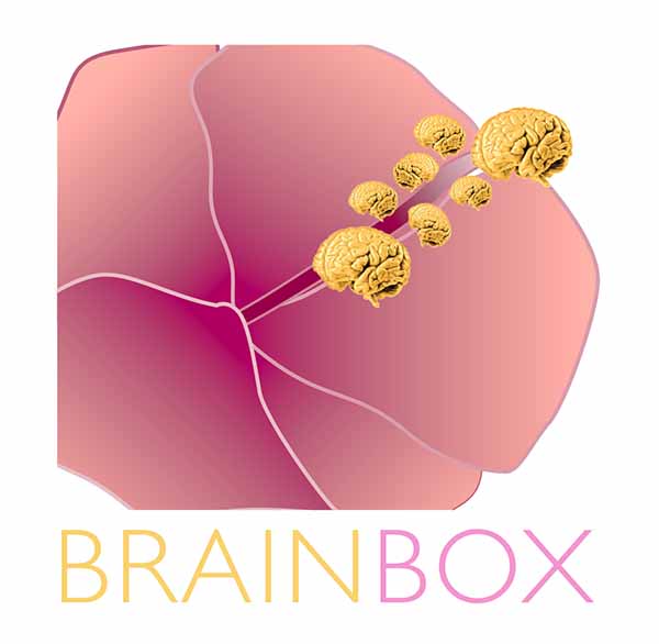 brainbox.jpg