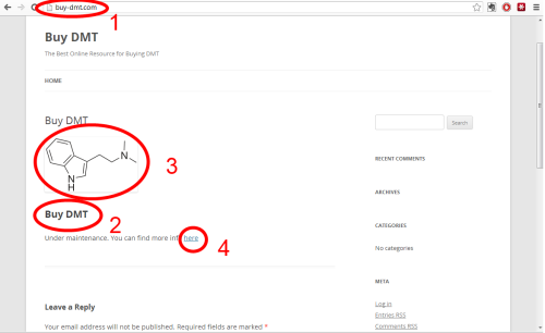 Buy DMT - on site seo.png