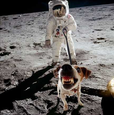 Why are there no cats or dog on Moon?