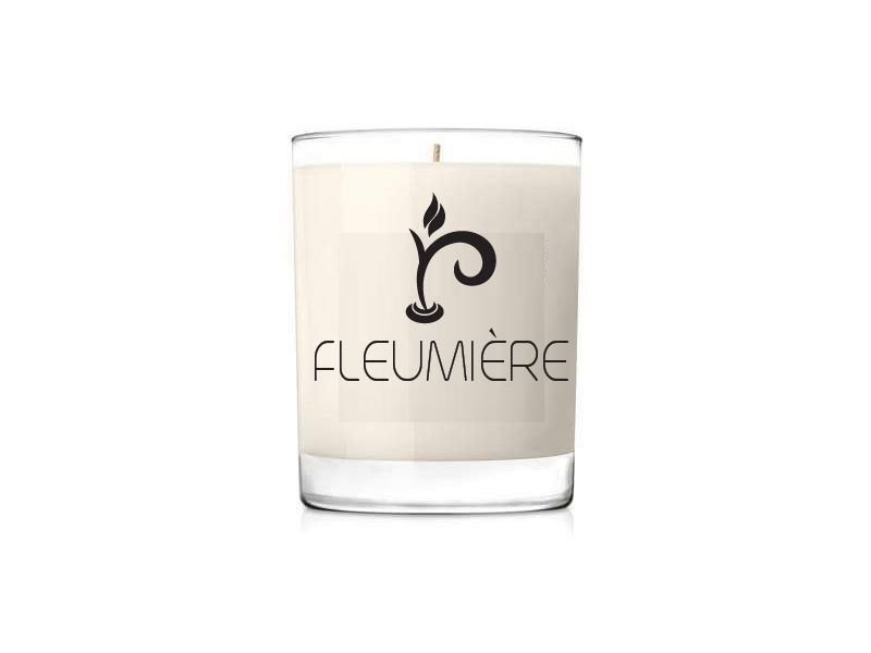 candleflew.jpg