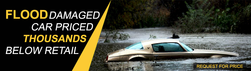 car-web-banner.jpg