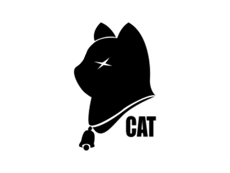 cat white.jpg