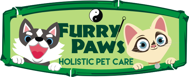 catdog.png
