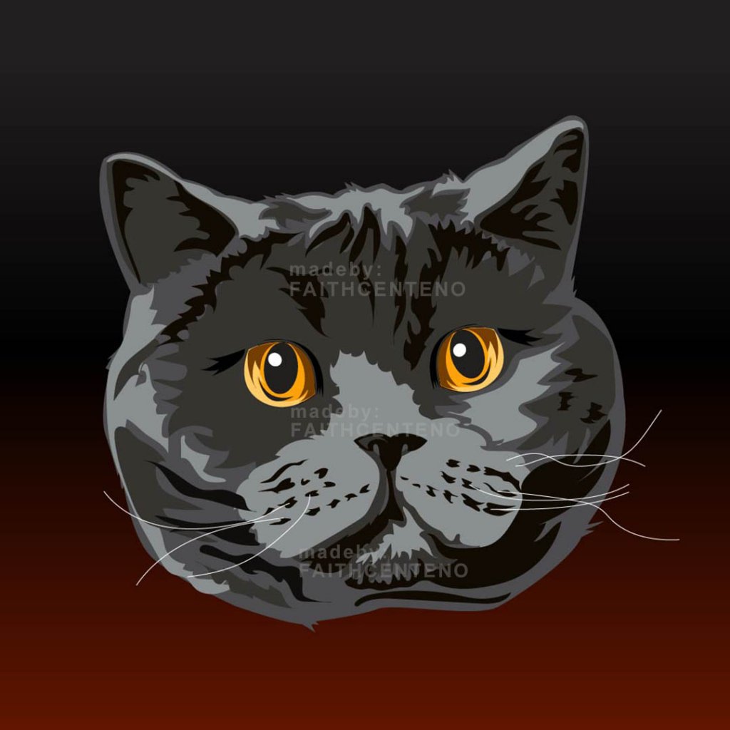 catdp.jpg
