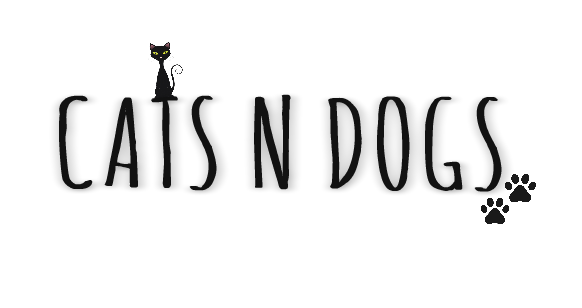 cats_n_dogs2.png