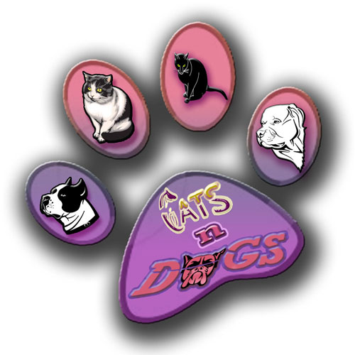 catsndoggs.jpg