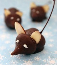 choccherrymouse.jpg