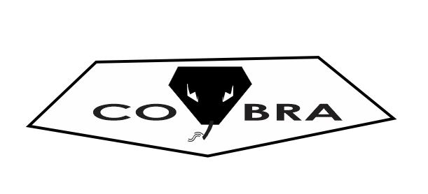 cobra 002.JPG