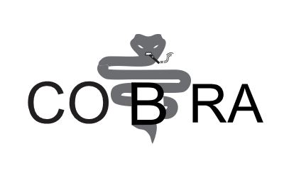 cobra new1.JPG