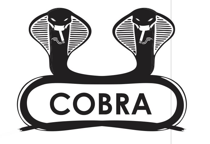 cobra2.JPG